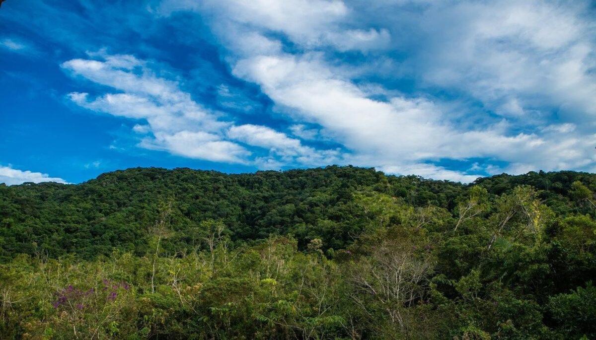 Loft Superior Villa Dalle Ubatuba Zewnętrze zdjęcie